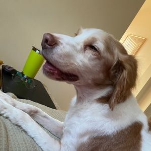 Meet your Posher, Dayre